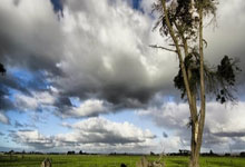 俄罗斯队惊险胜法国，成功杀入欧预赛四强