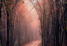 九游娱乐直播-强势逆袭！法兰克福德甲取胜，创造惊人逆转victory，德甲法兰克福赞助商