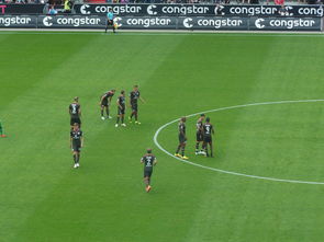 九游娱乐课程-汉堡主场惊险胜美因茨，士气大振球迷狂欢，汉堡队球迷